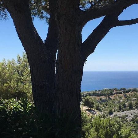 Magnifique Studio Cassis Dış mekan fotoğraf