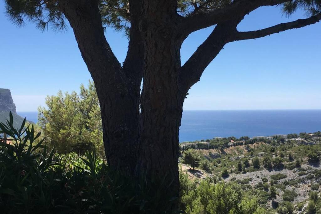 Magnifique Studio Cassis Dış mekan fotoğraf