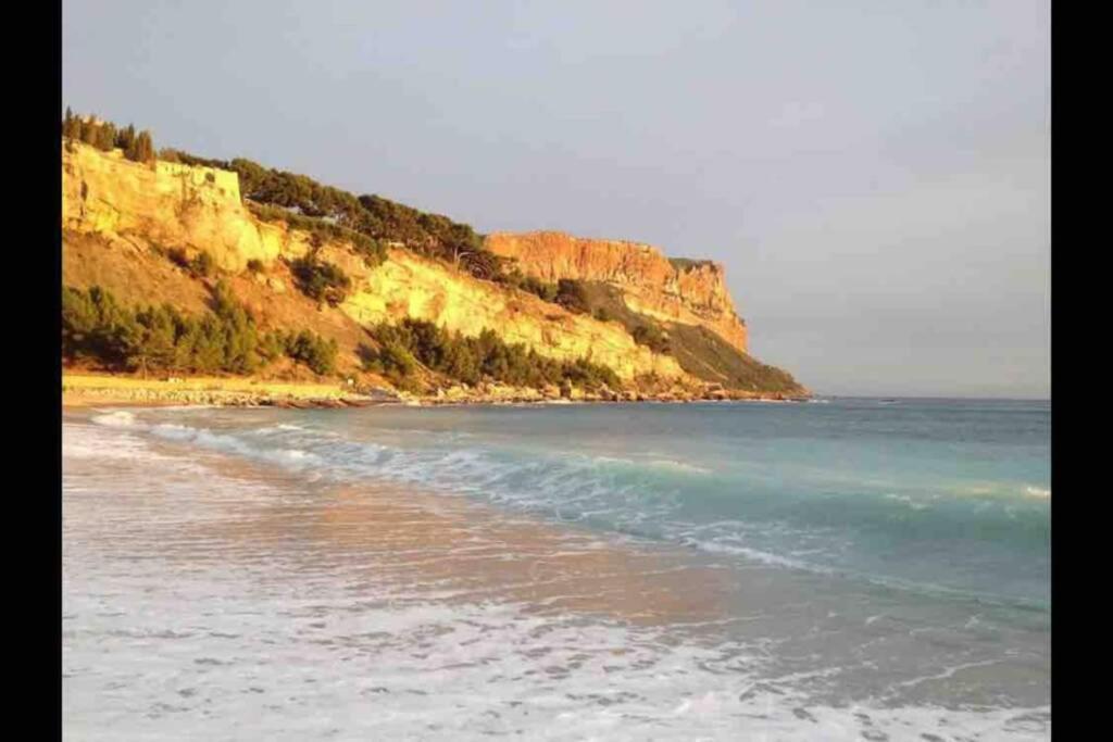 Magnifique Studio Cassis Dış mekan fotoğraf